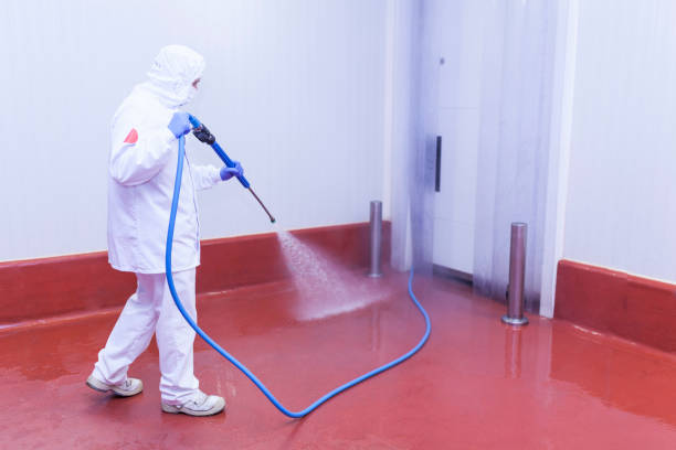 Best Sign and Awning Cleaning  in North Pearsall, TX